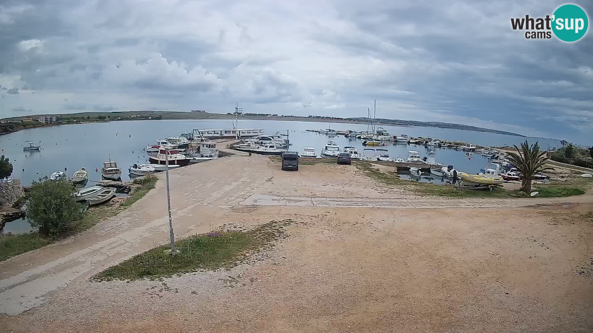 Camera en vivo Povljana – Pag isla