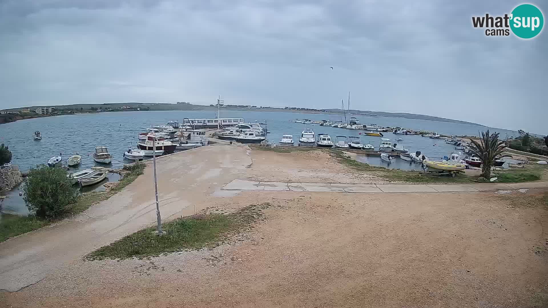 Kamera v živo Povljana – otok Pag