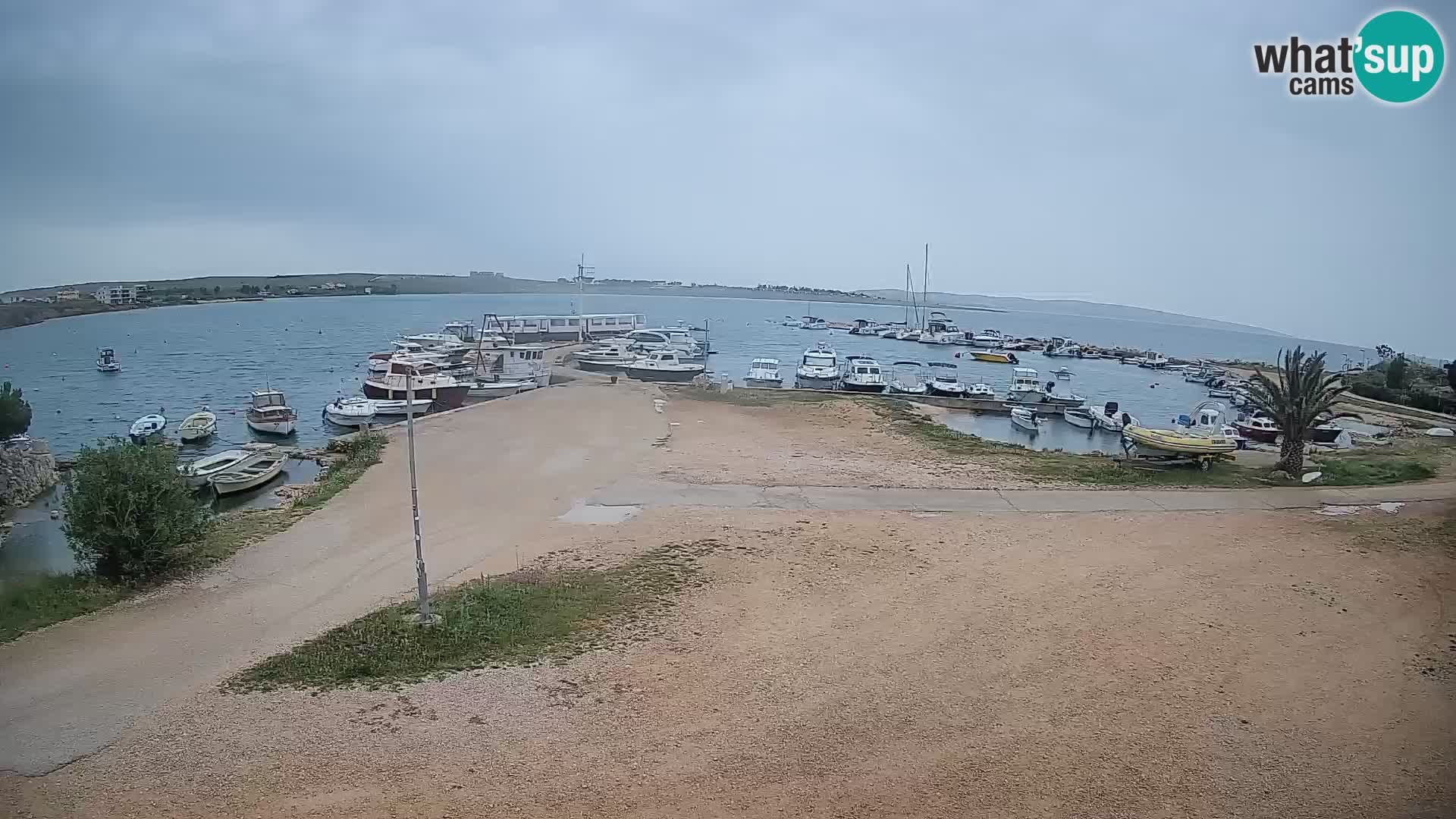 Kamera v živo Povljana – otok Pag