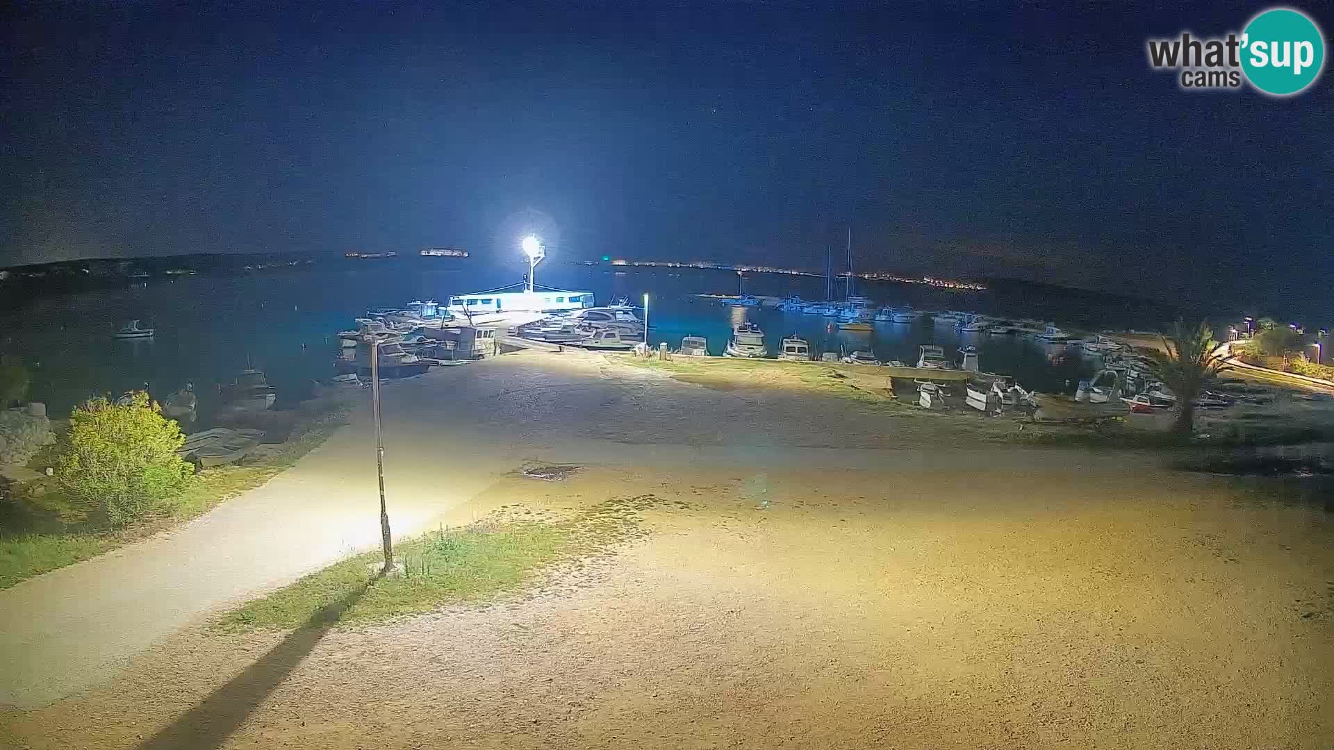 Livecam Pogliana – isola di Pago