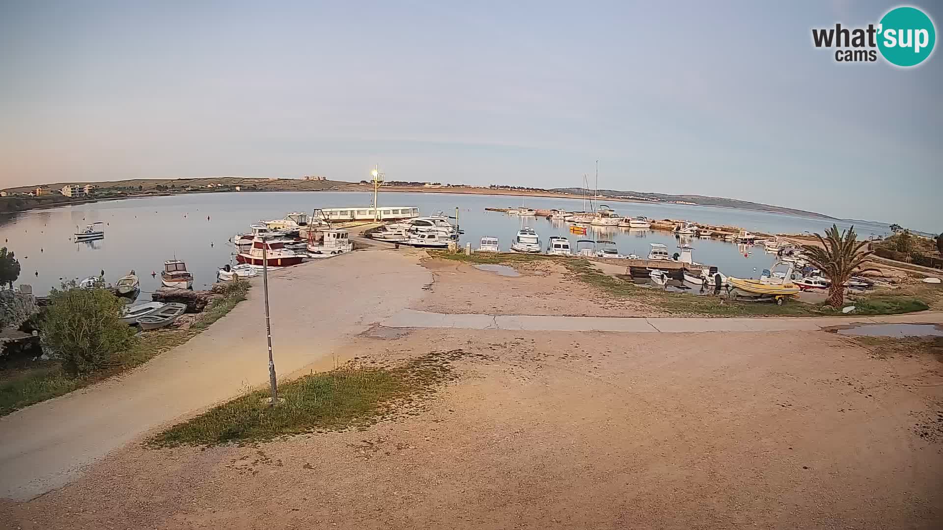 Camera en vivo Povljana – Pag isla
