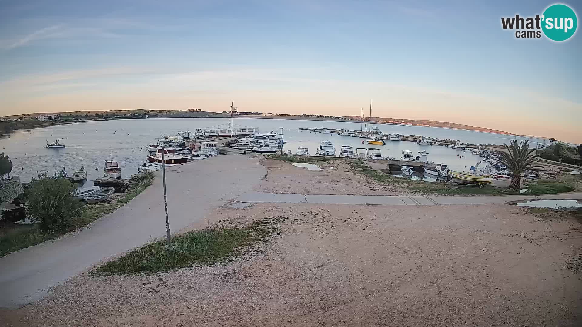 Camera en vivo Povljana – Pag isla
