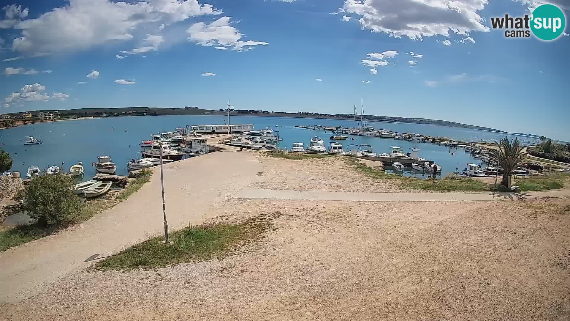 Camera en vivo Povljana – Pag isla