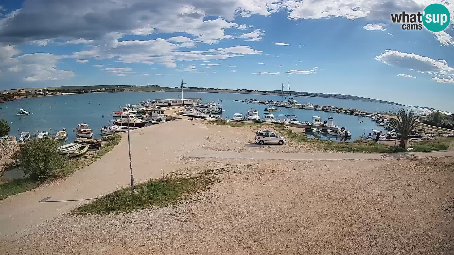 Camera en vivo Povljana – Pag isla