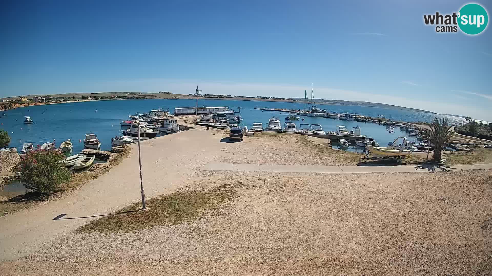 Camera en vivo Povljana – Pag isla