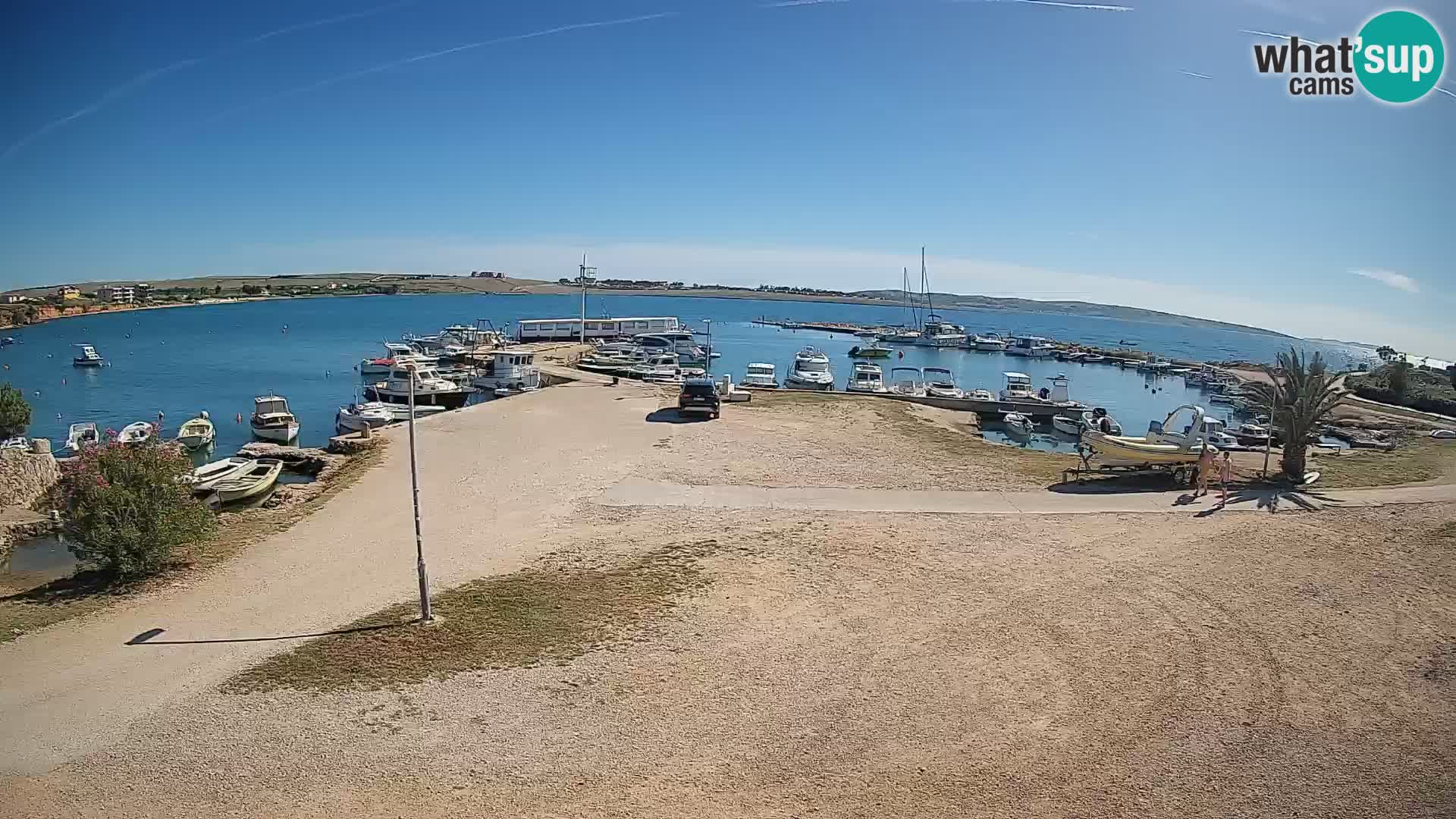 Camera en vivo Povljana – Pag isla