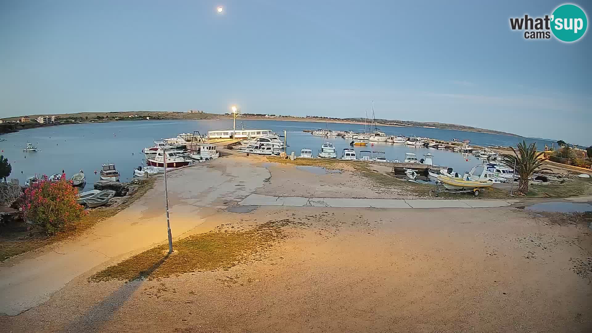 Camera en vivo Povljana – Pag isla