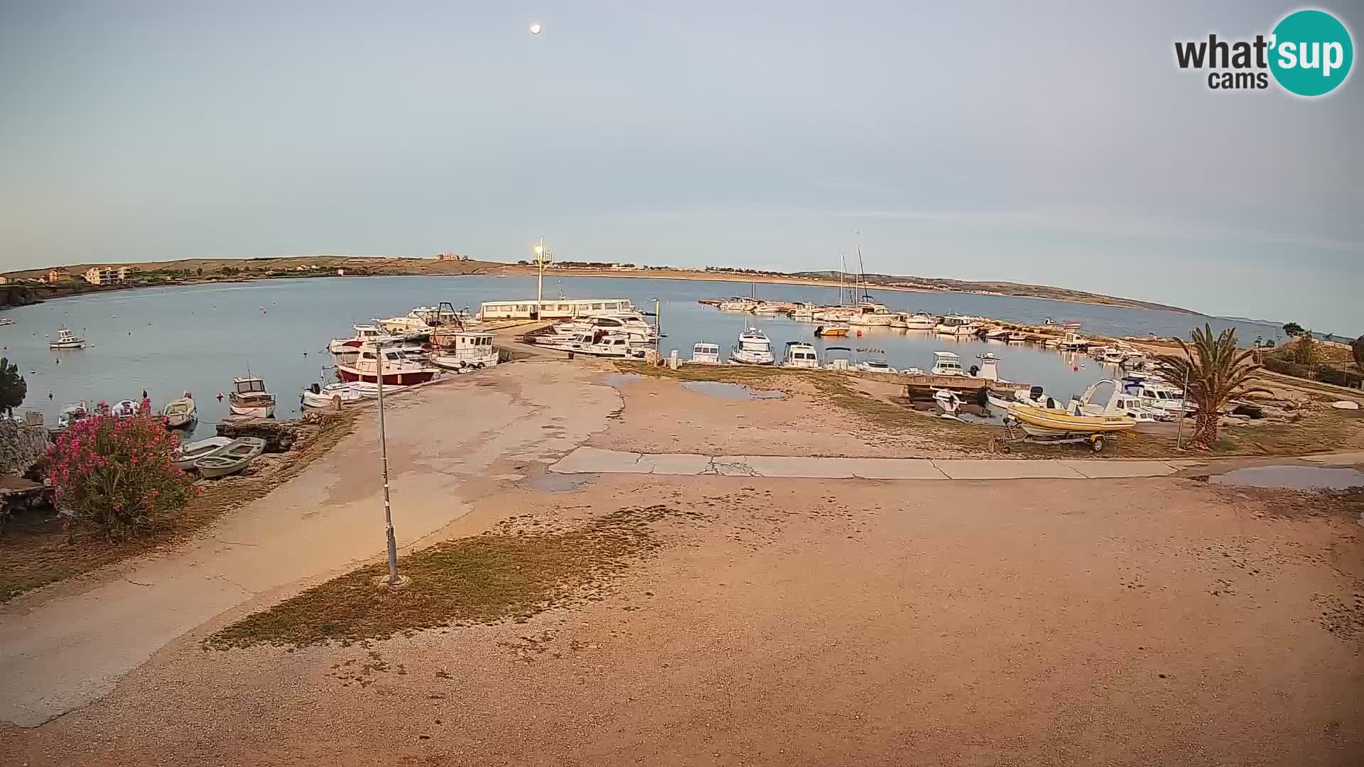 Camera en vivo Povljana – Pag isla
