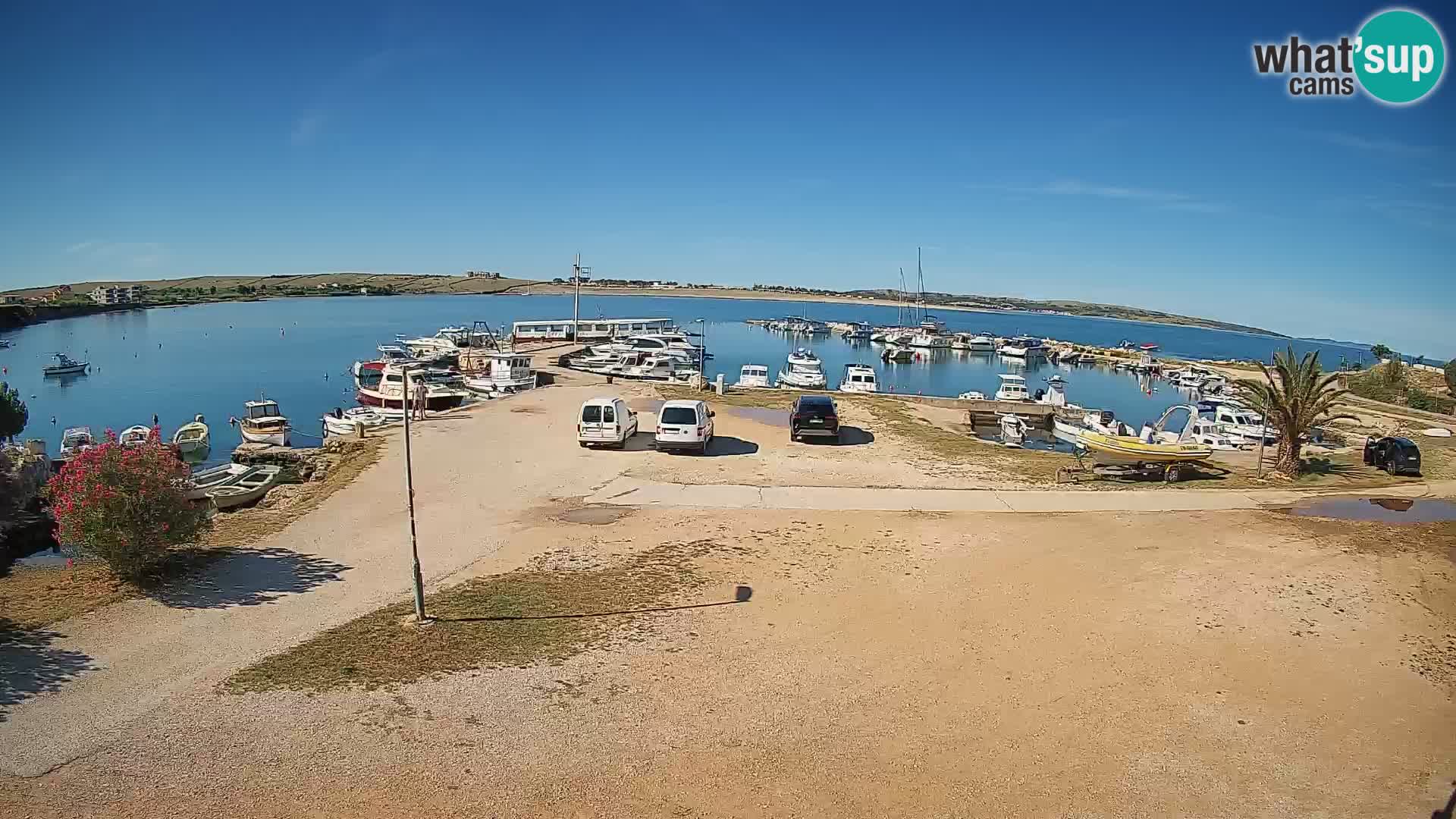 Camera en vivo Povljana – Pag isla