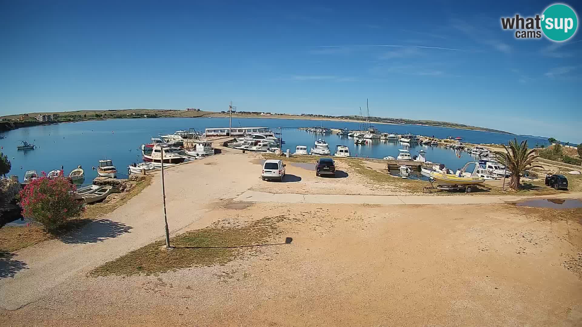 Camera en vivo Povljana – Pag isla