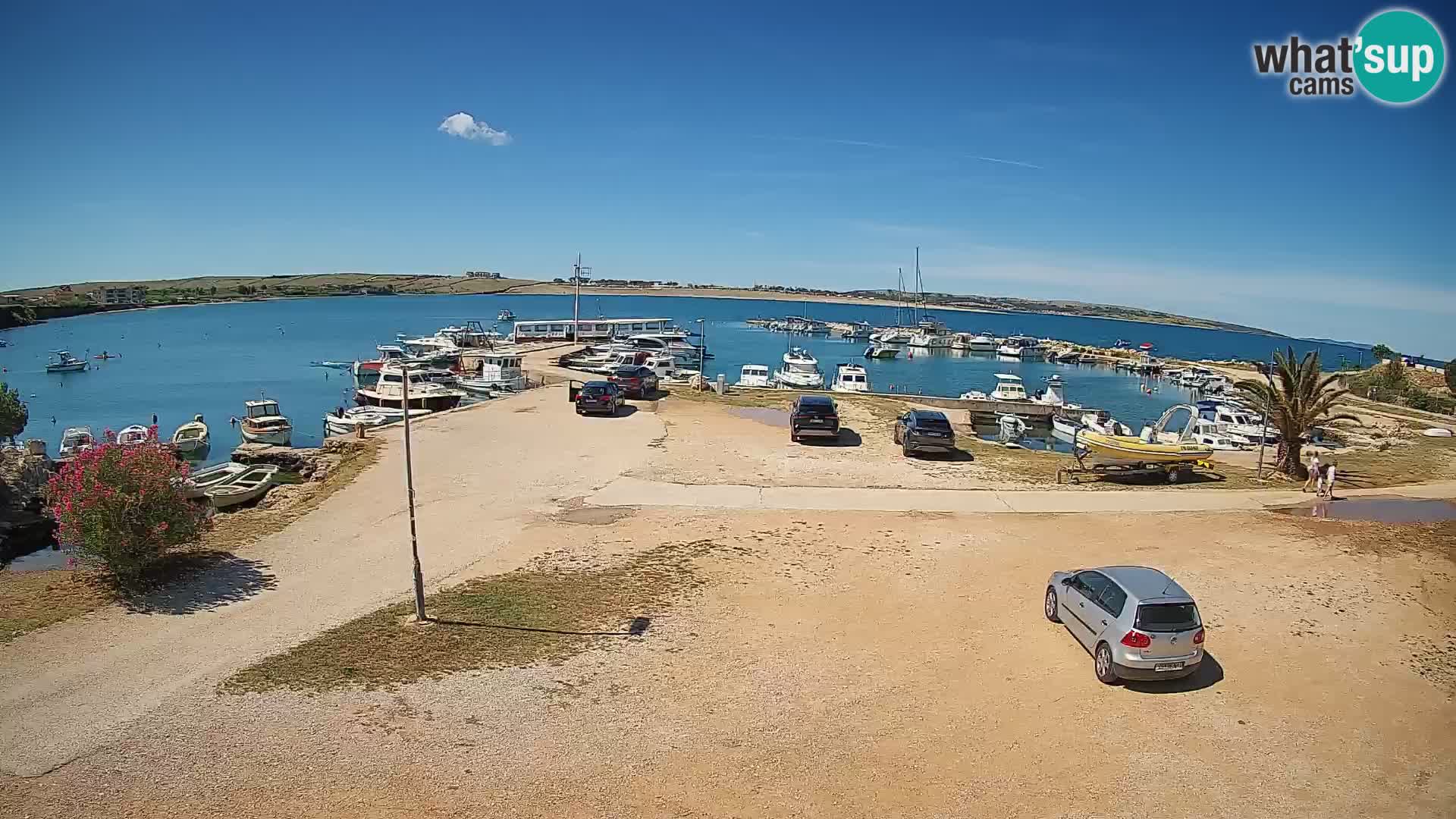 Camera en vivo Povljana – Pag isla
