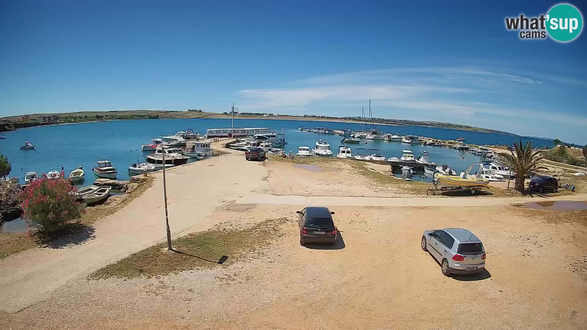 Camera en vivo Povljana – Pag isla