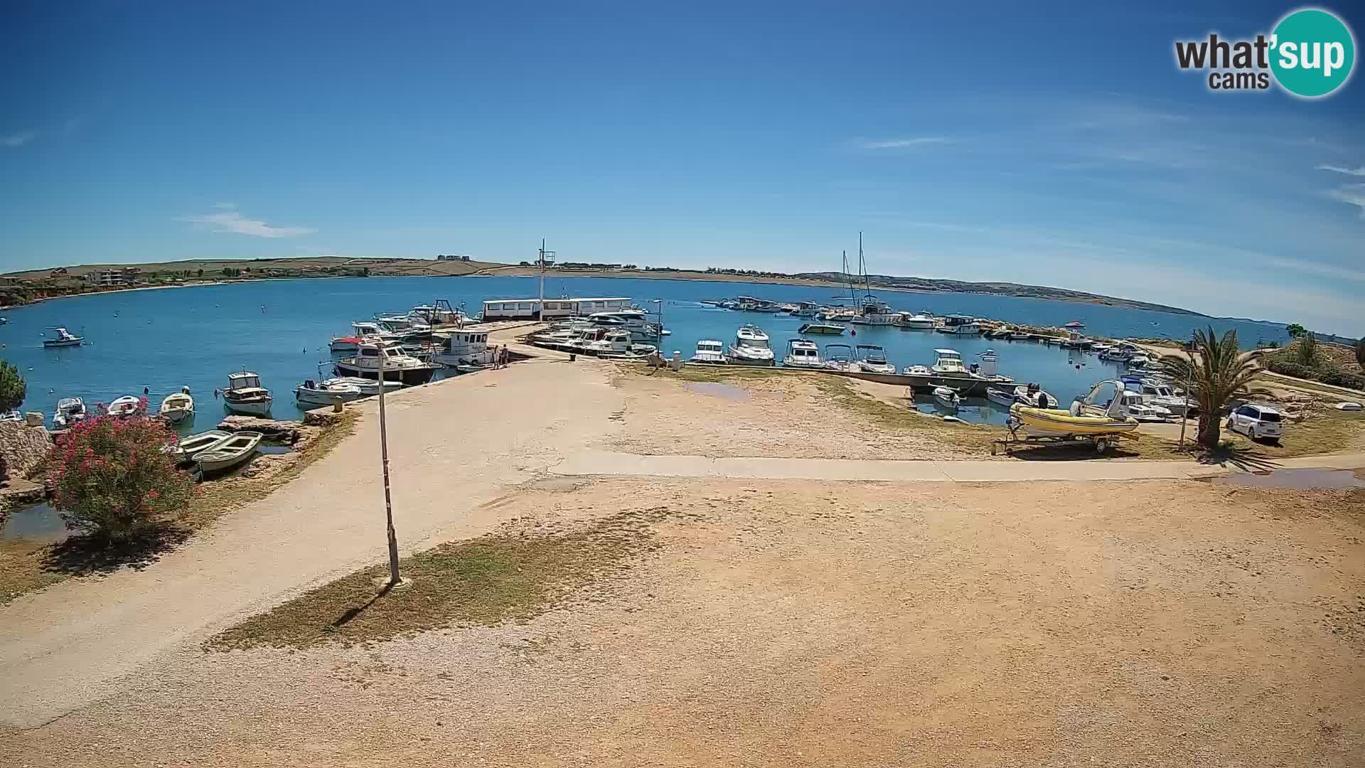 Camera en vivo Povljana – Pag isla