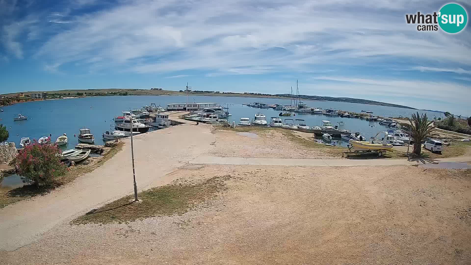 Camera en vivo Povljana – Pag isla