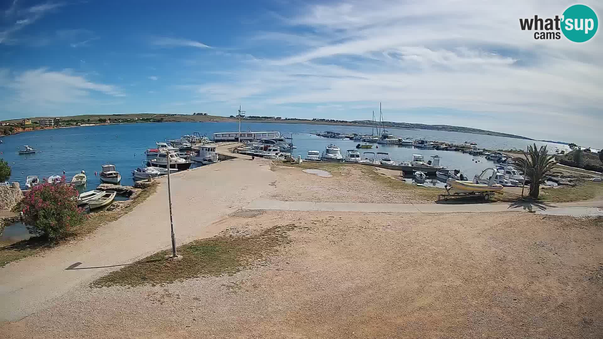 Camera en vivo Povljana – Pag isla