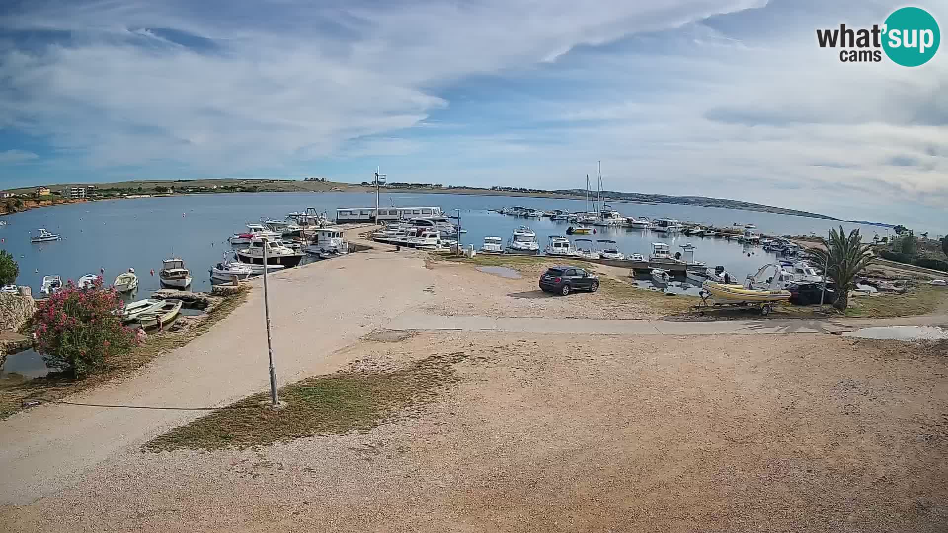 Camera en vivo Povljana – Pag isla