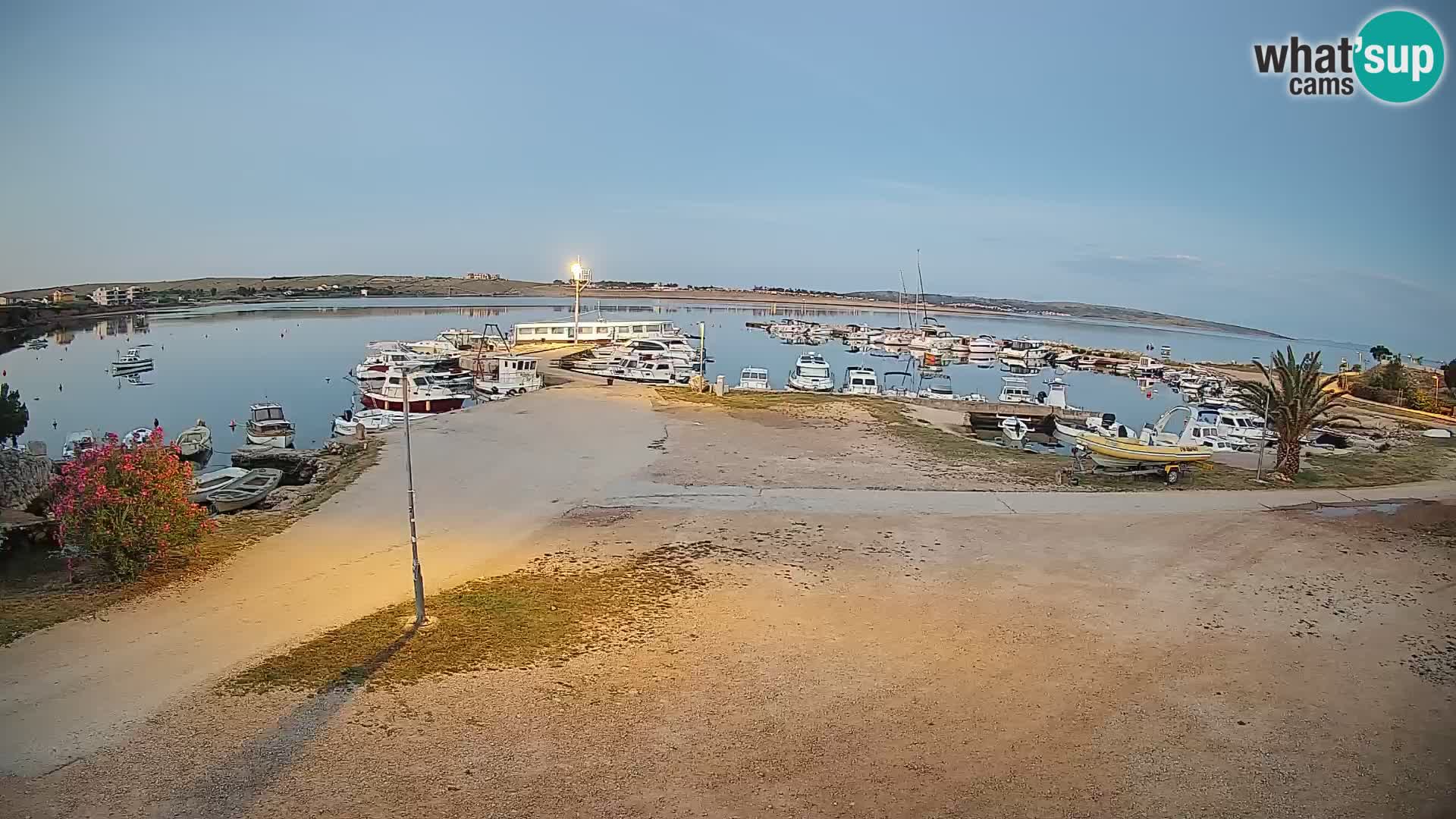 Camera en vivo Povljana – Pag isla