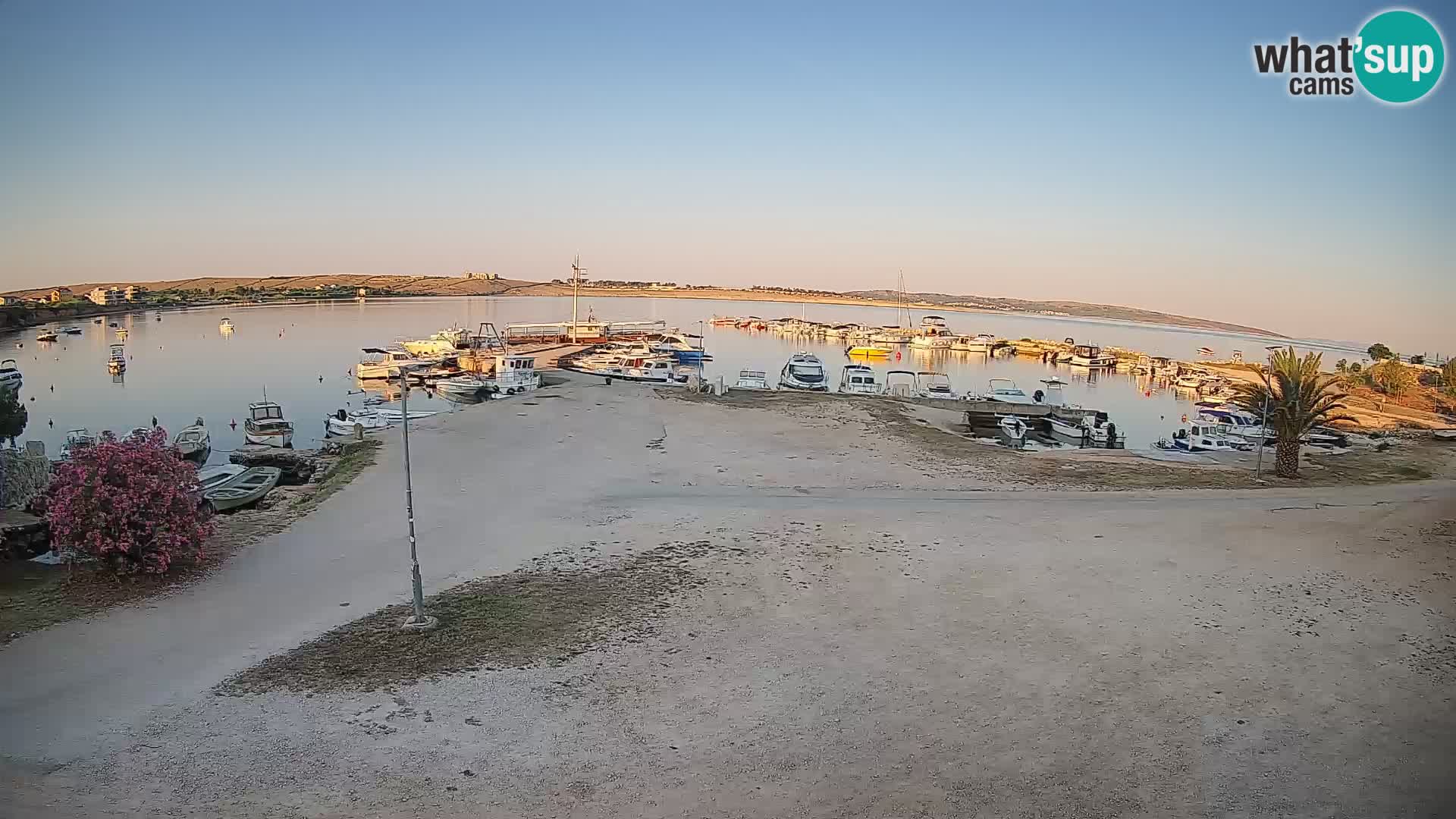 Camera en vivo Povljana – Pag isla