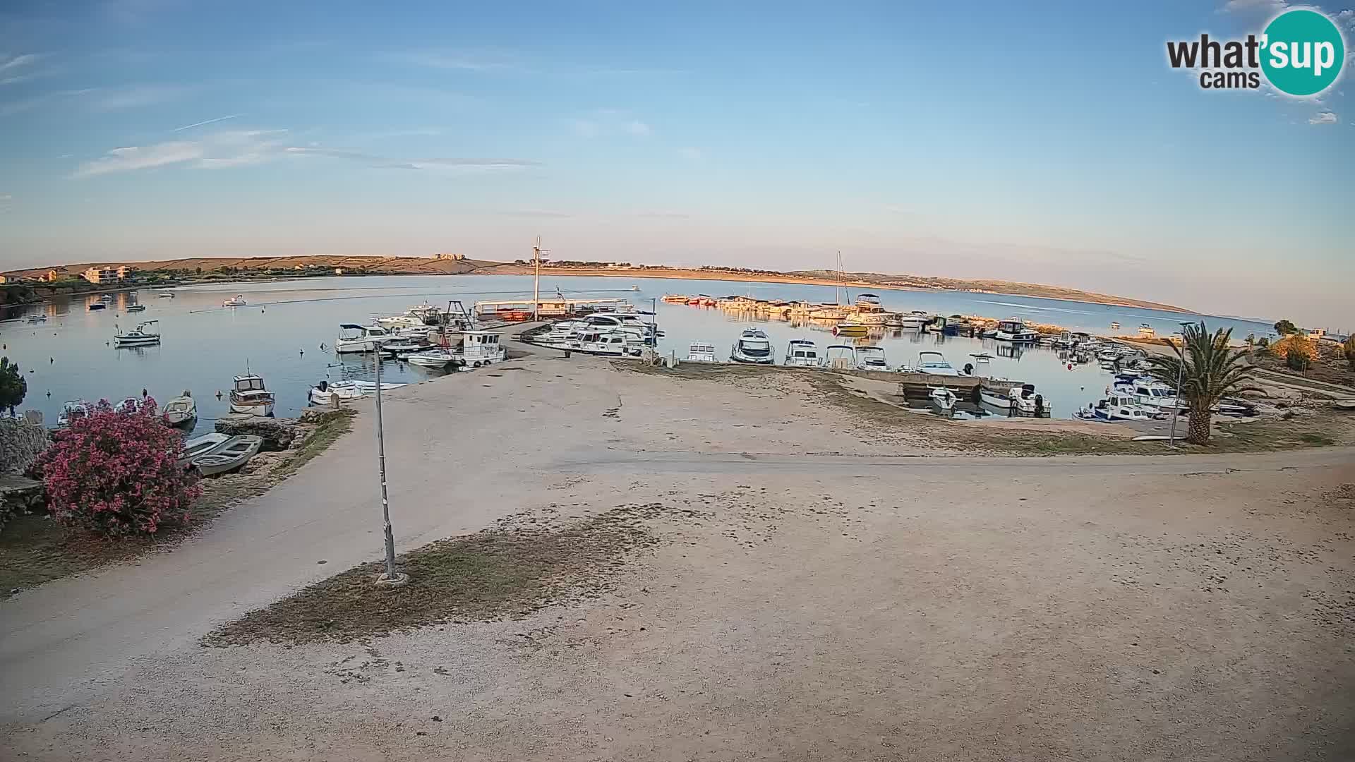 Livecam Pogliana – isola di Pago