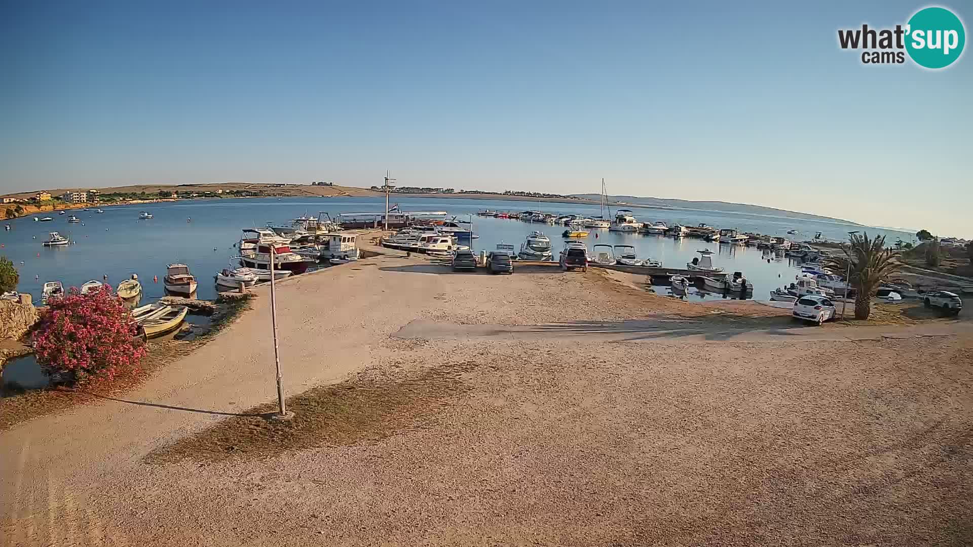 Camera en vivo Povljana – Pag isla