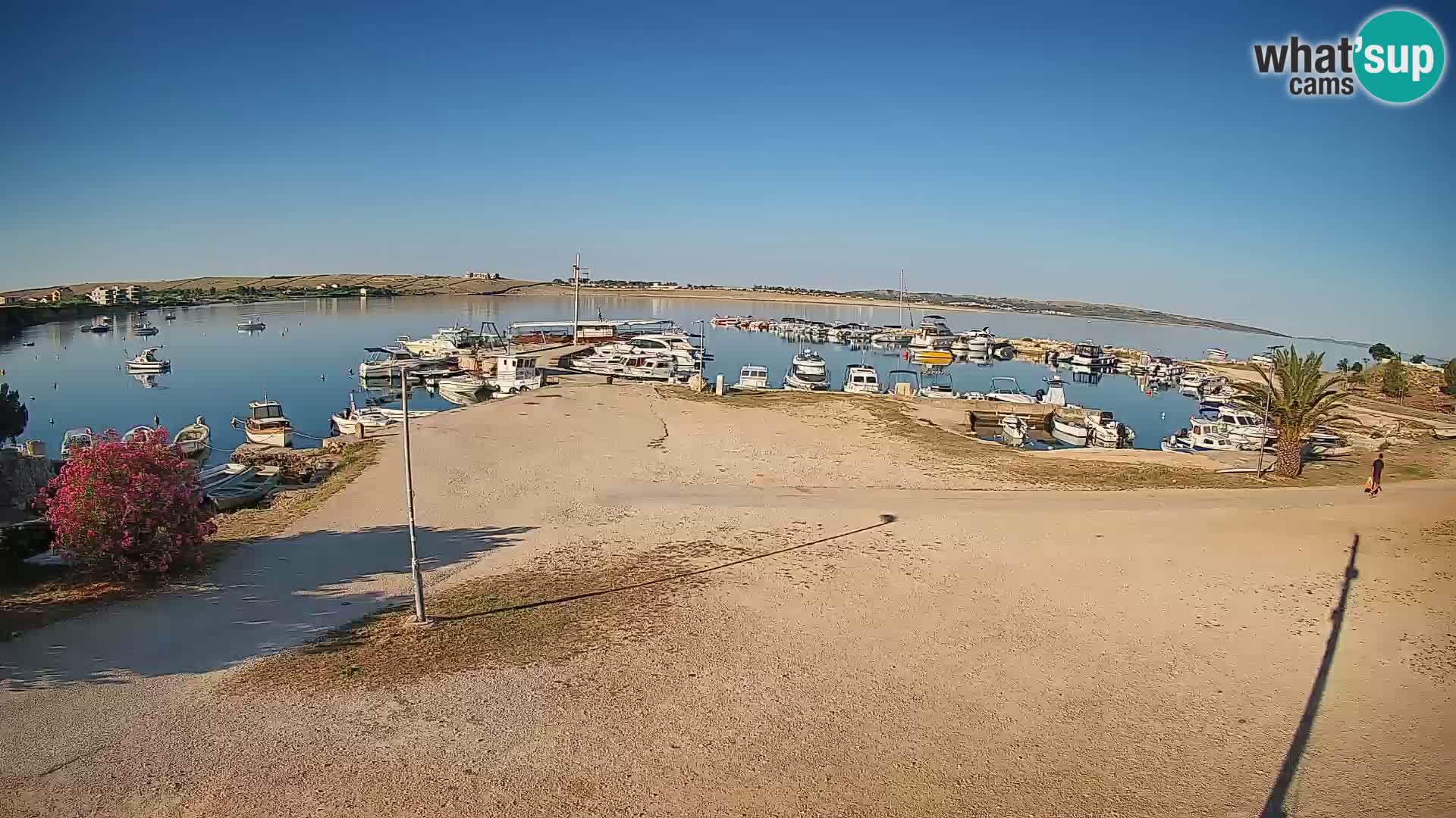 Camera en vivo Povljana – Pag isla