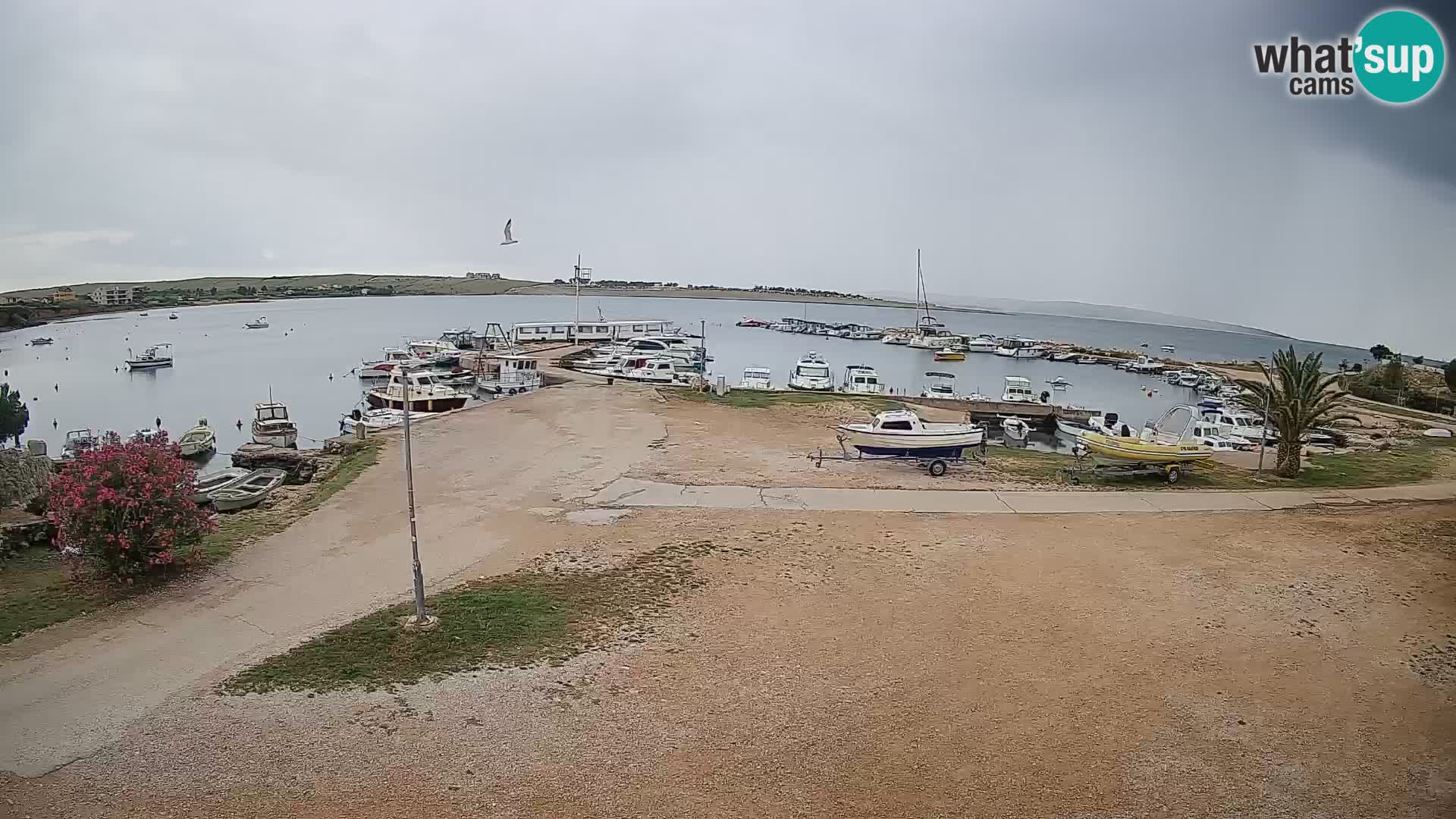 Webcam Povljana – Pag insel