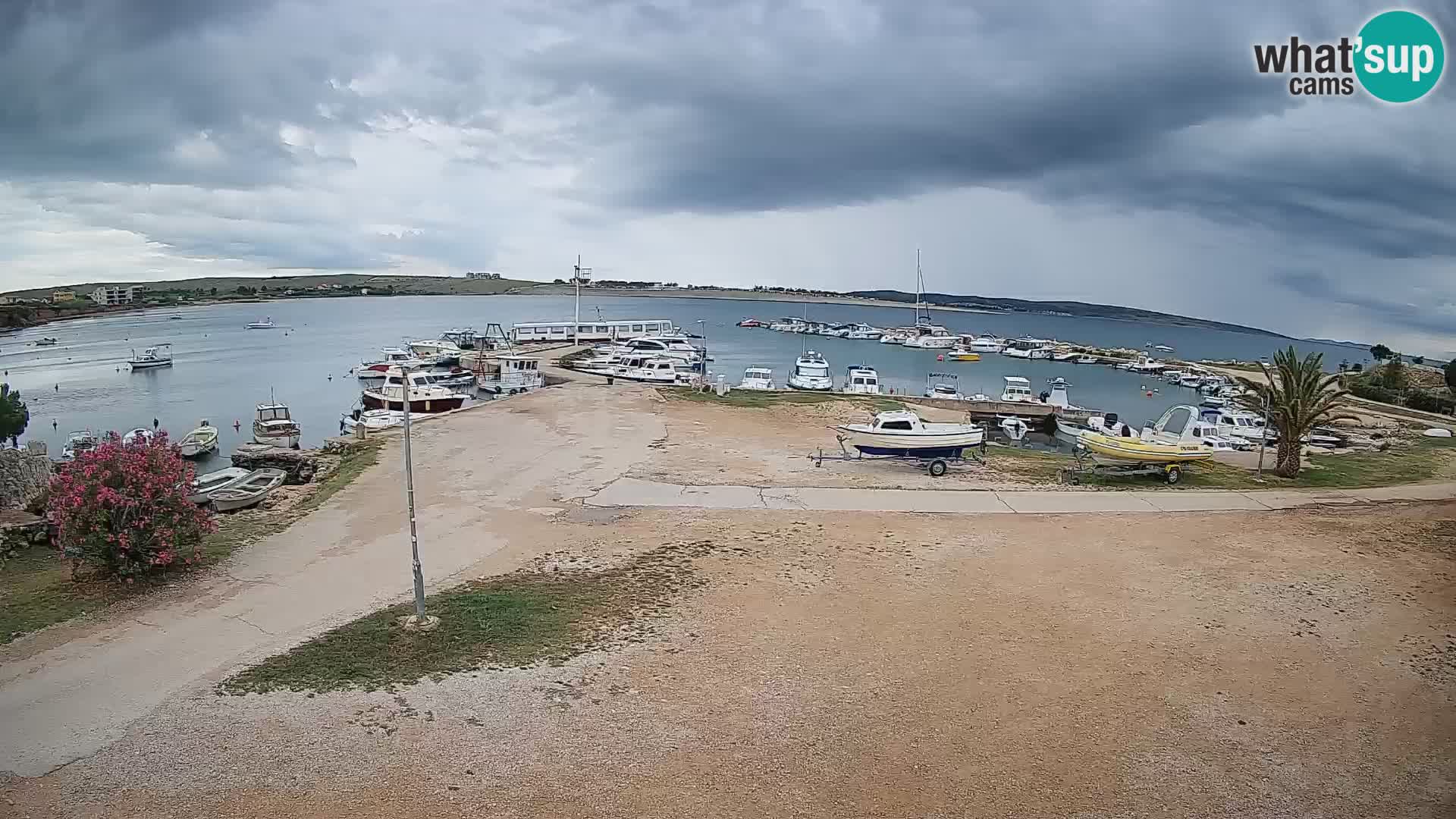 Camera en vivo Povljana – Pag isla