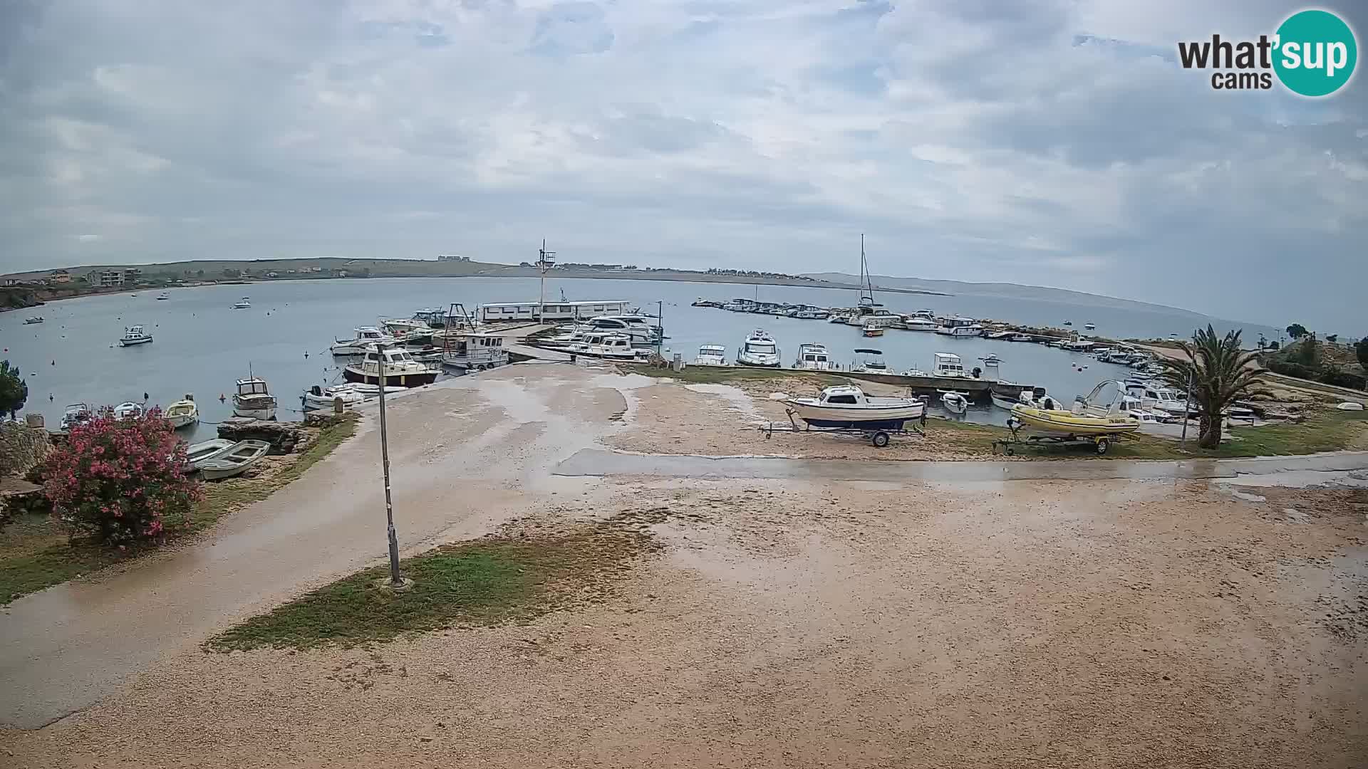 Livecam Pogliana – isola di Pago