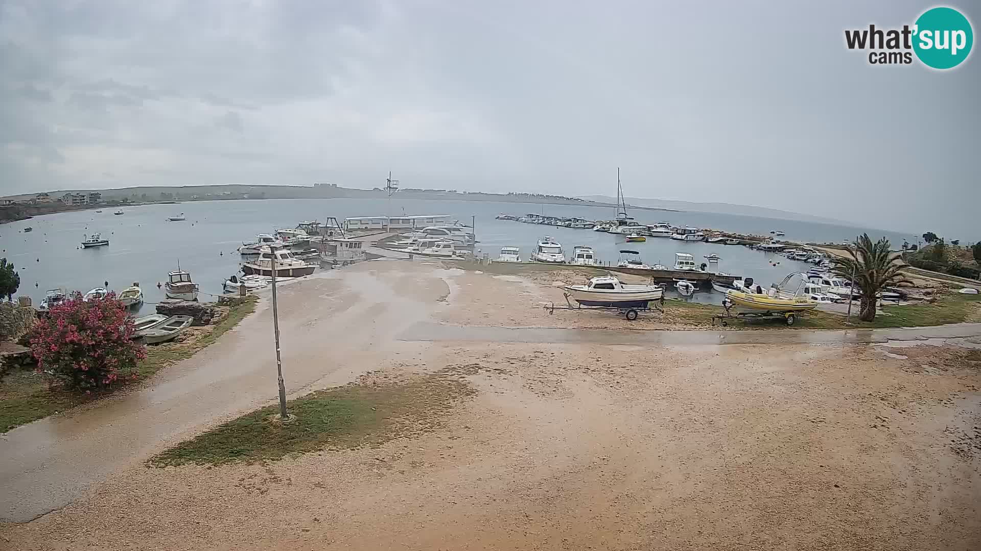 Webcam Povljana – Pag insel