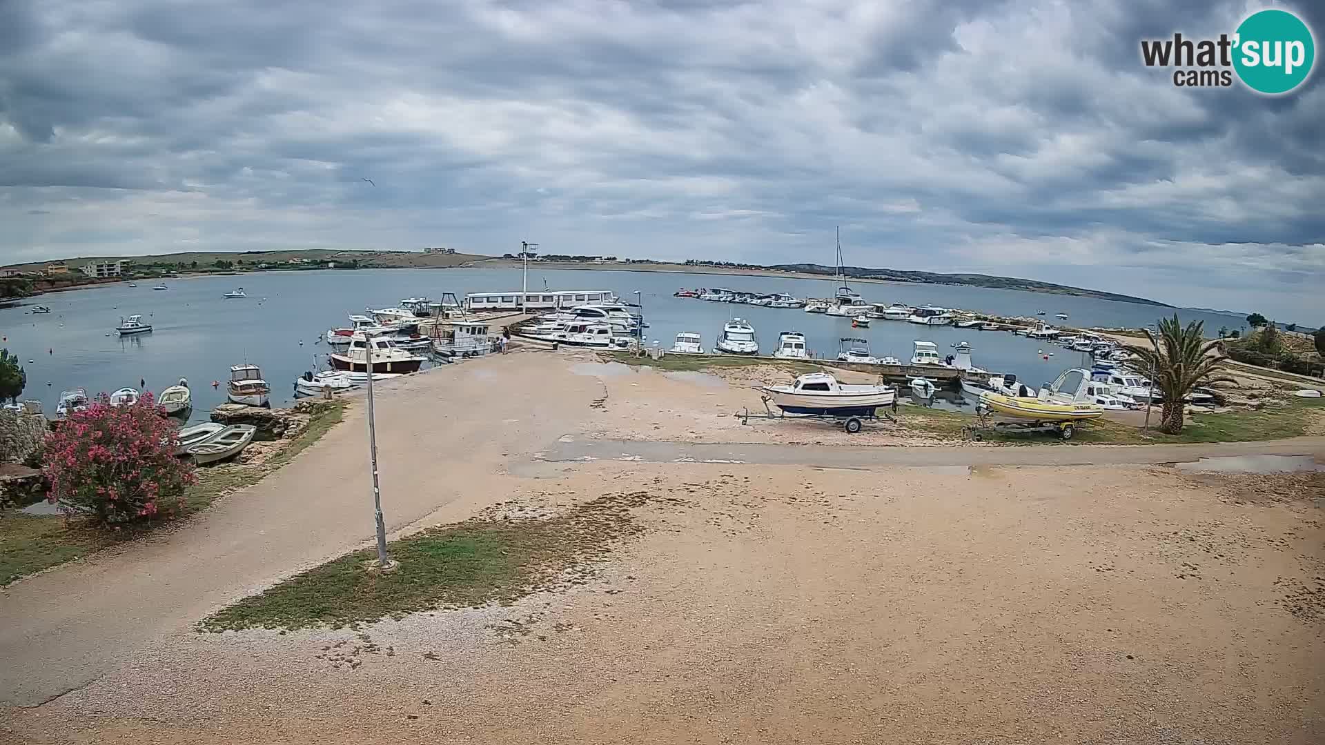 Livecam Pogliana – isola di Pago