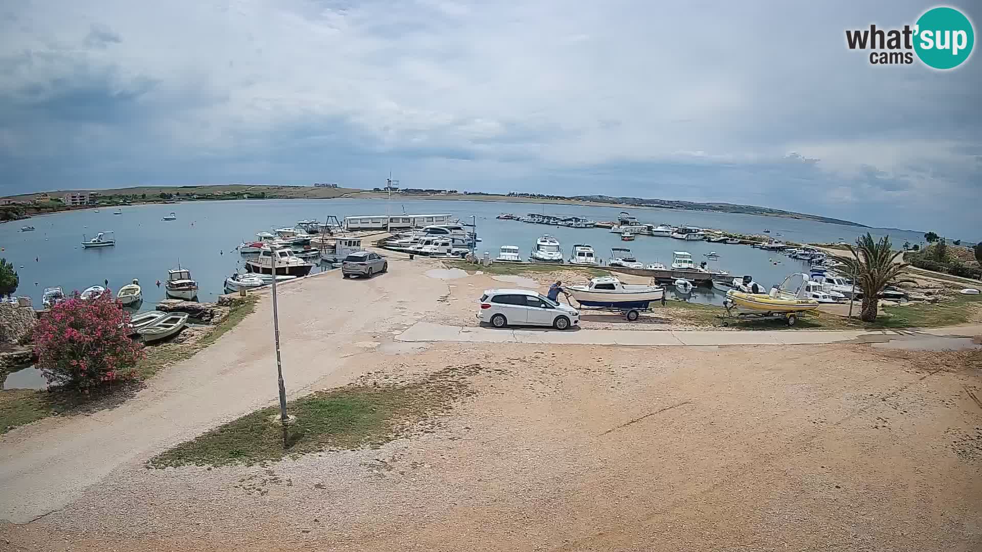 Camera en vivo Povljana – Pag isla