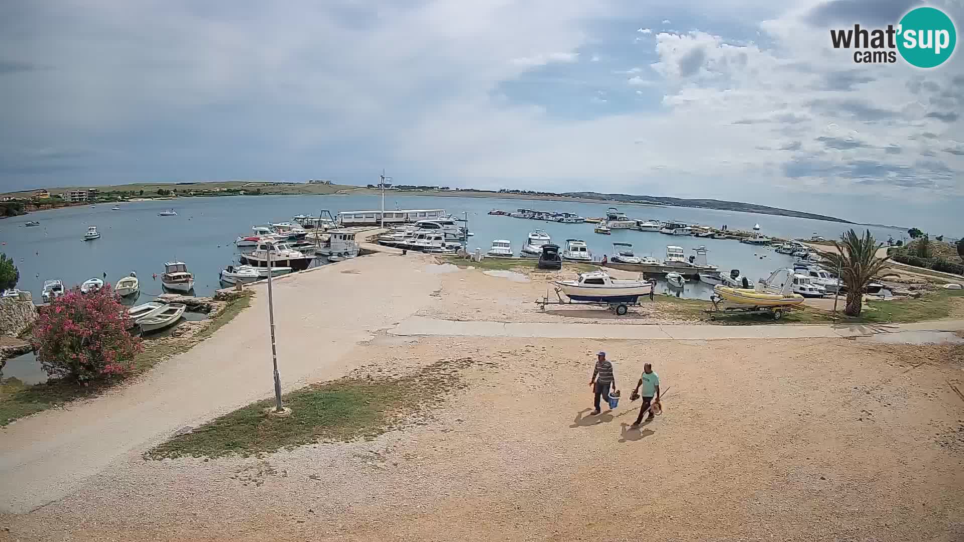 Livecam Pogliana – isola di Pago