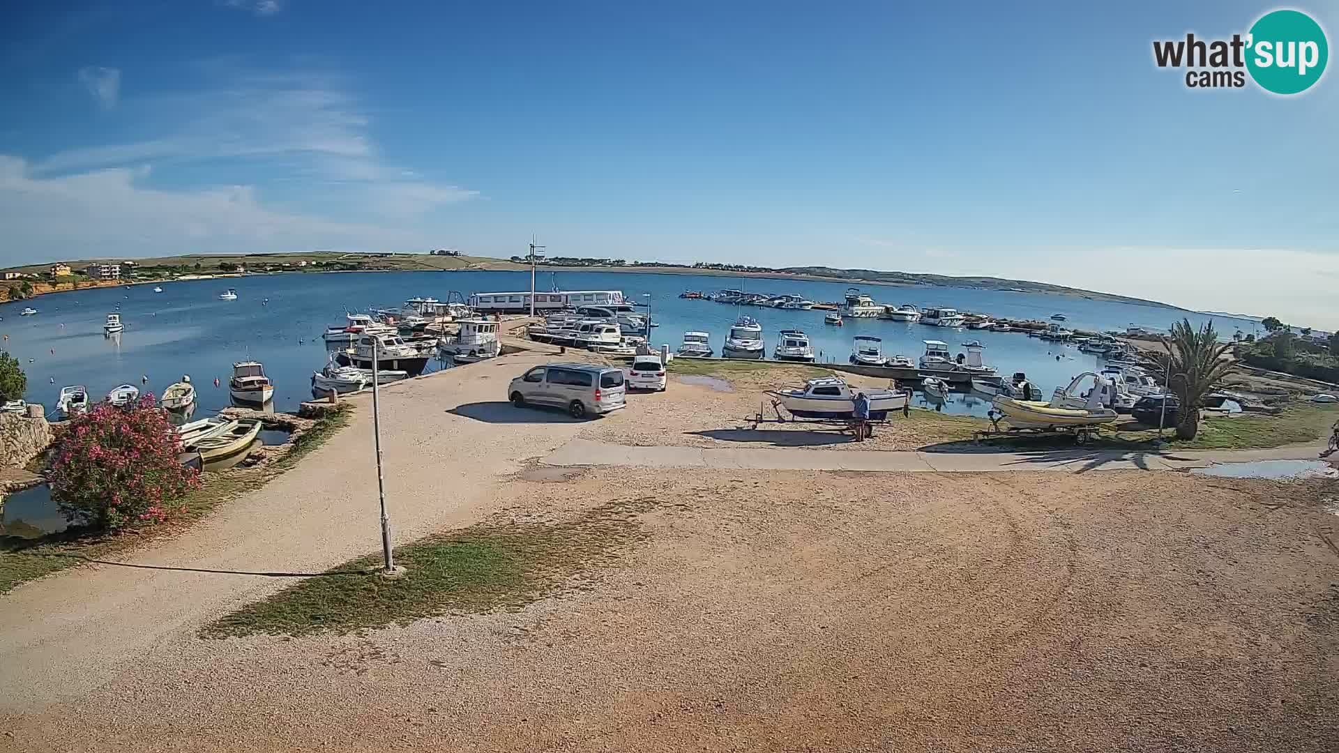 Camera en vivo Povljana – Pag isla