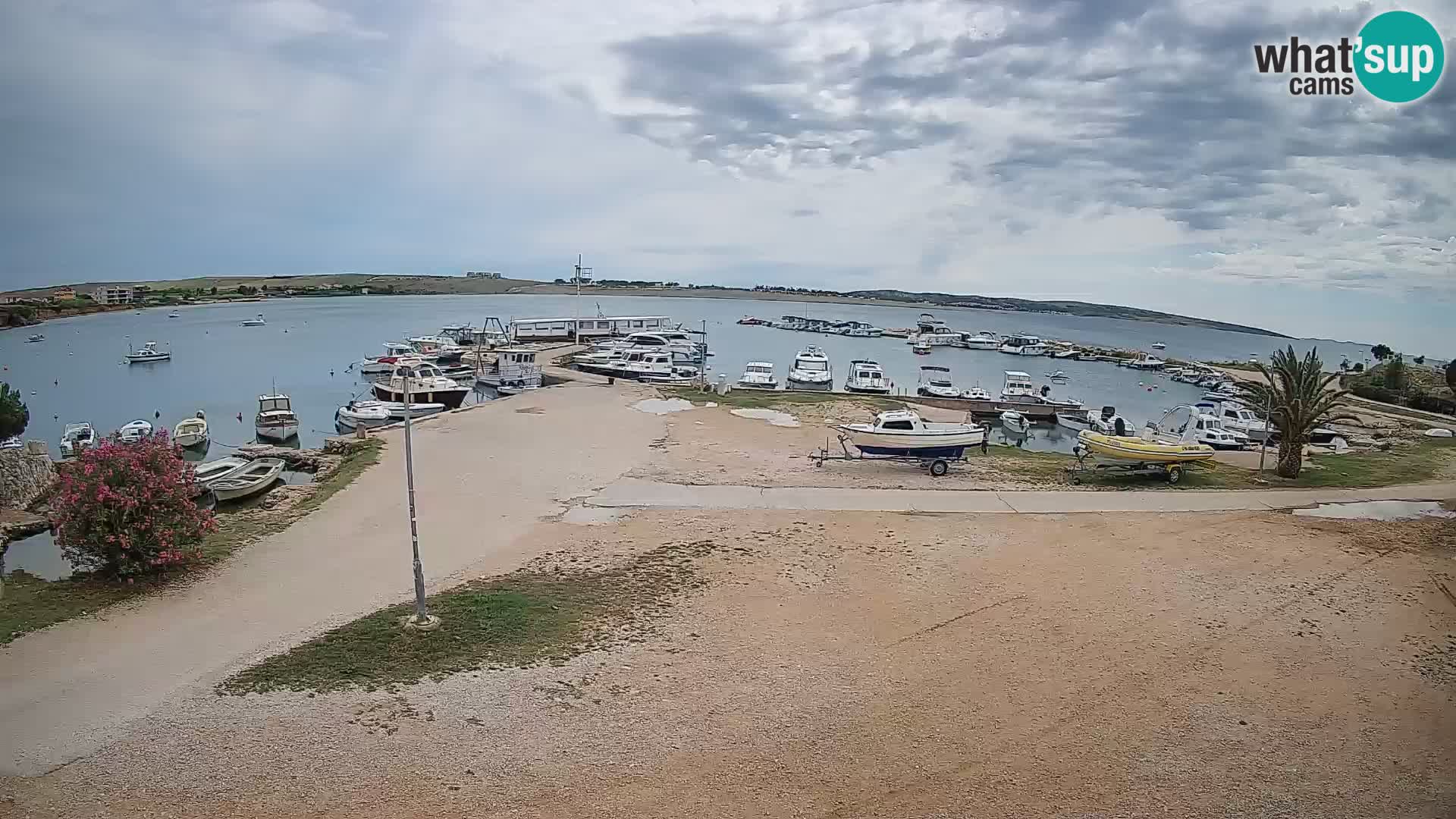 Camera en vivo Povljana – Pag isla