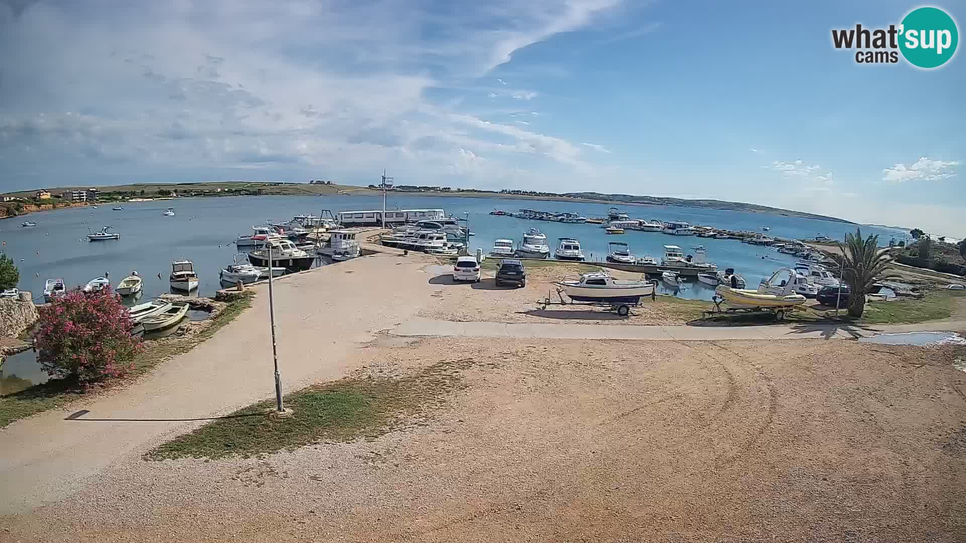 Camera en vivo Povljana – Pag isla