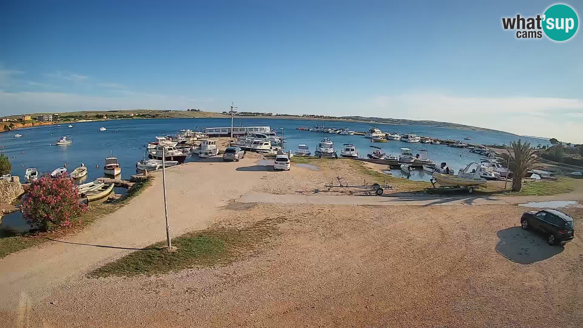 Camera en vivo Povljana – Pag isla