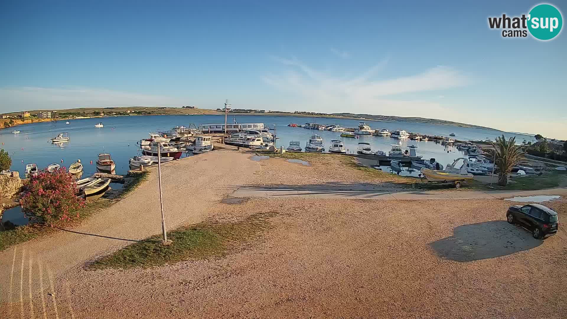 Camera en vivo Povljana – Pag isla