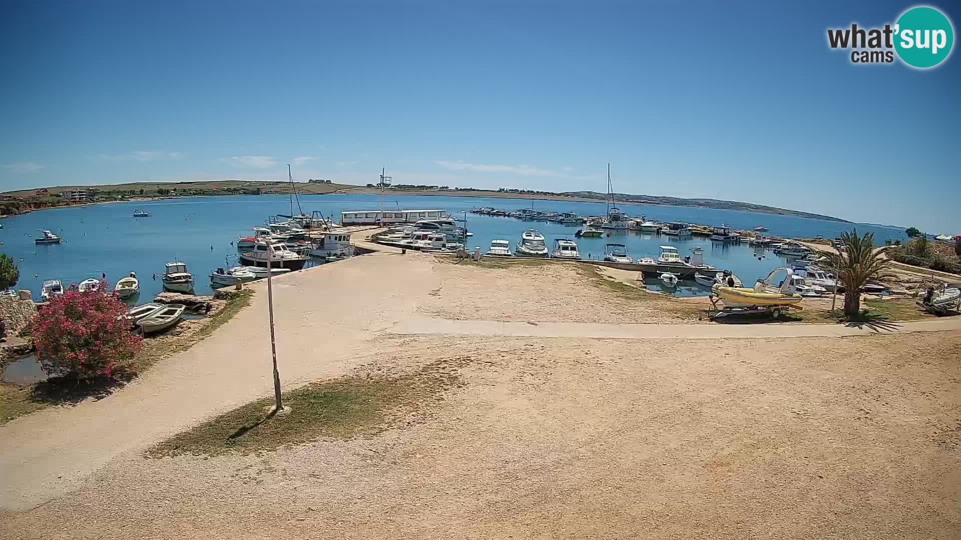 Webcam Povljana – Pag insel
