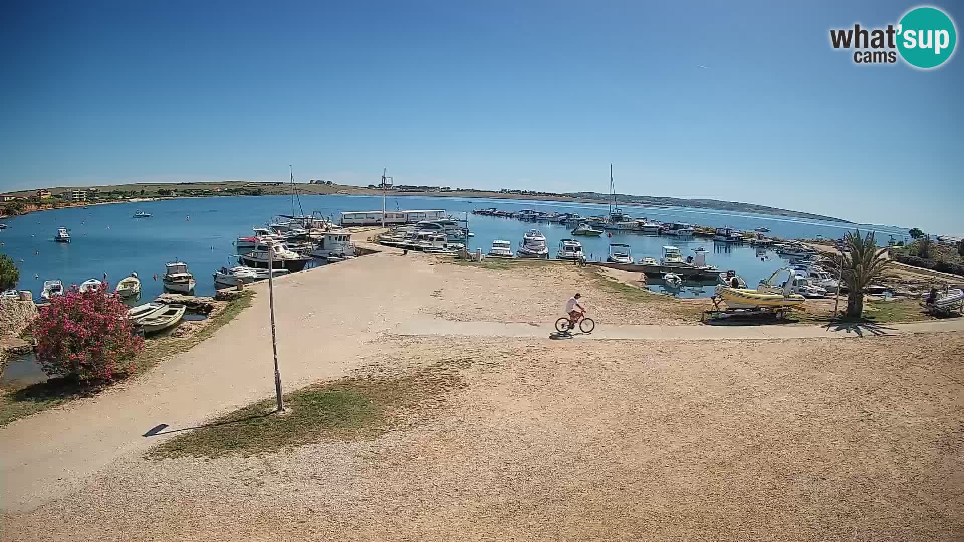 Webcam Povljana – Pag insel