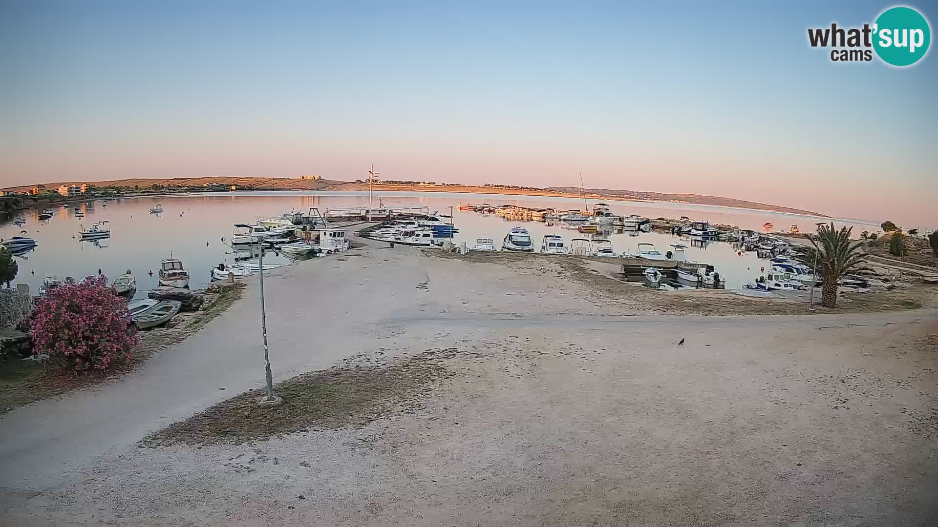 Webcam Povljana – Pag insel
