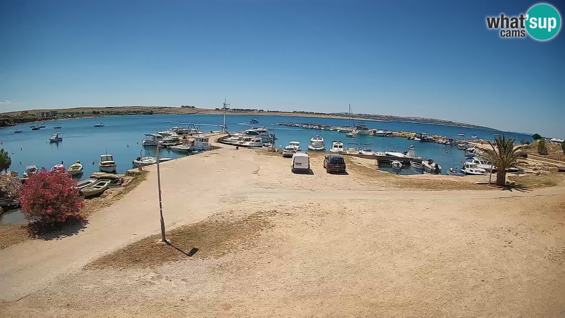 Camera en vivo Povljana – Pag isla