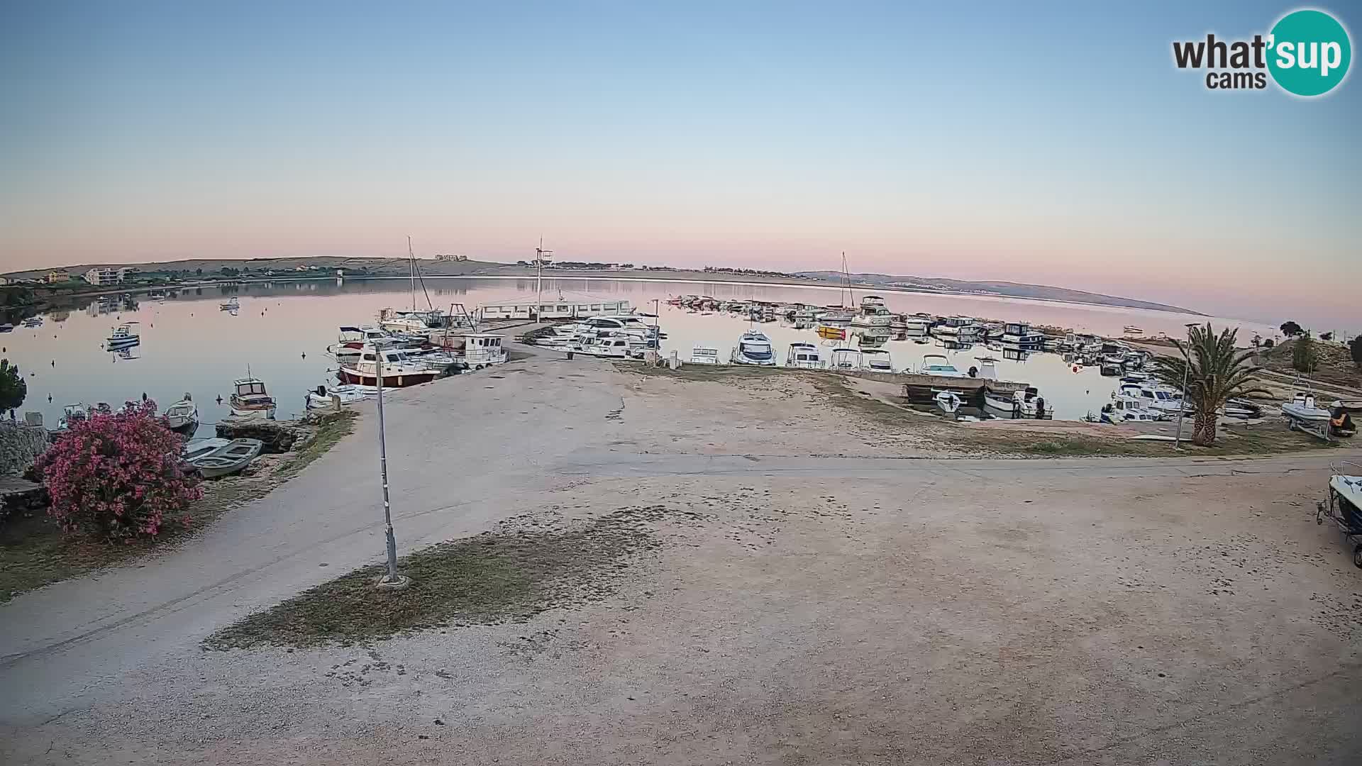 Camera en vivo Povljana – Pag isla