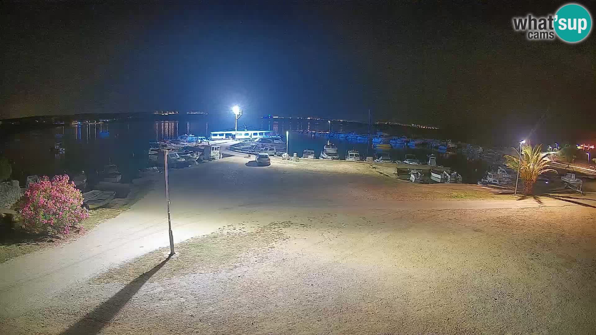 Camera en vivo Povljana – Pag isla