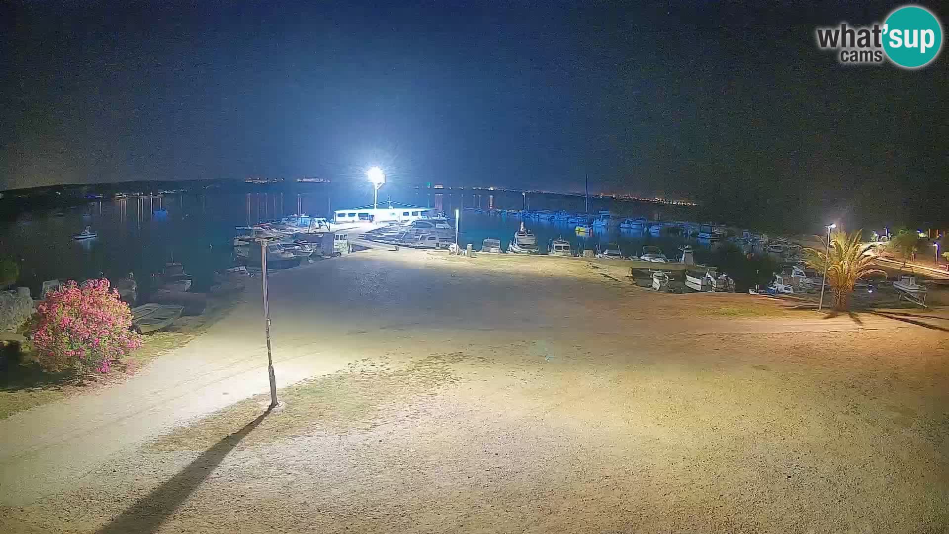 Camera en vivo Povljana – Pag isla