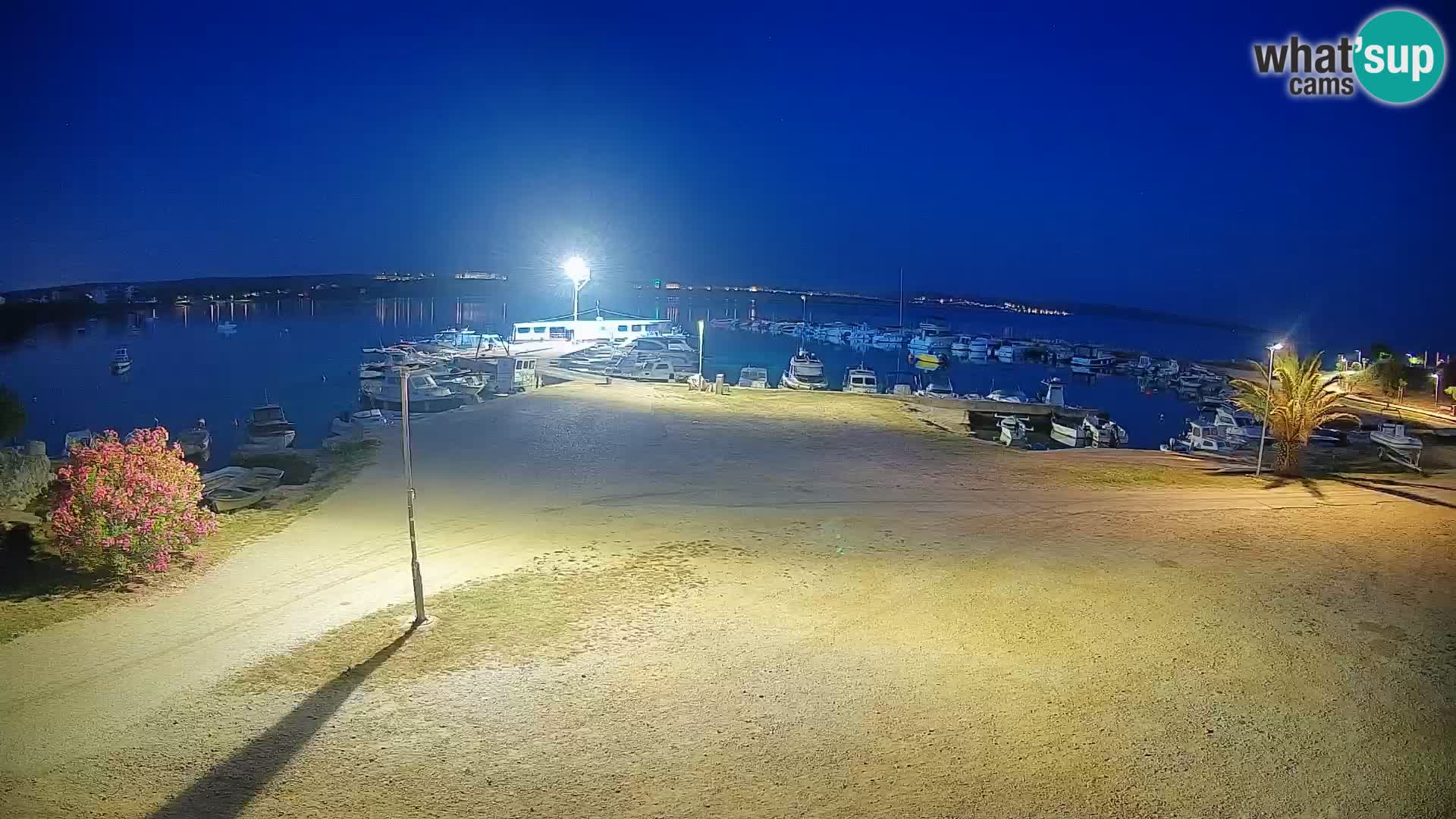 Camera en vivo Povljana – Pag isla