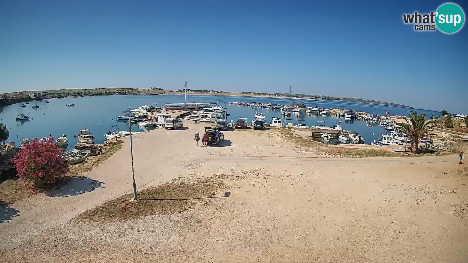 Livecam Pogliana – isola di Pago