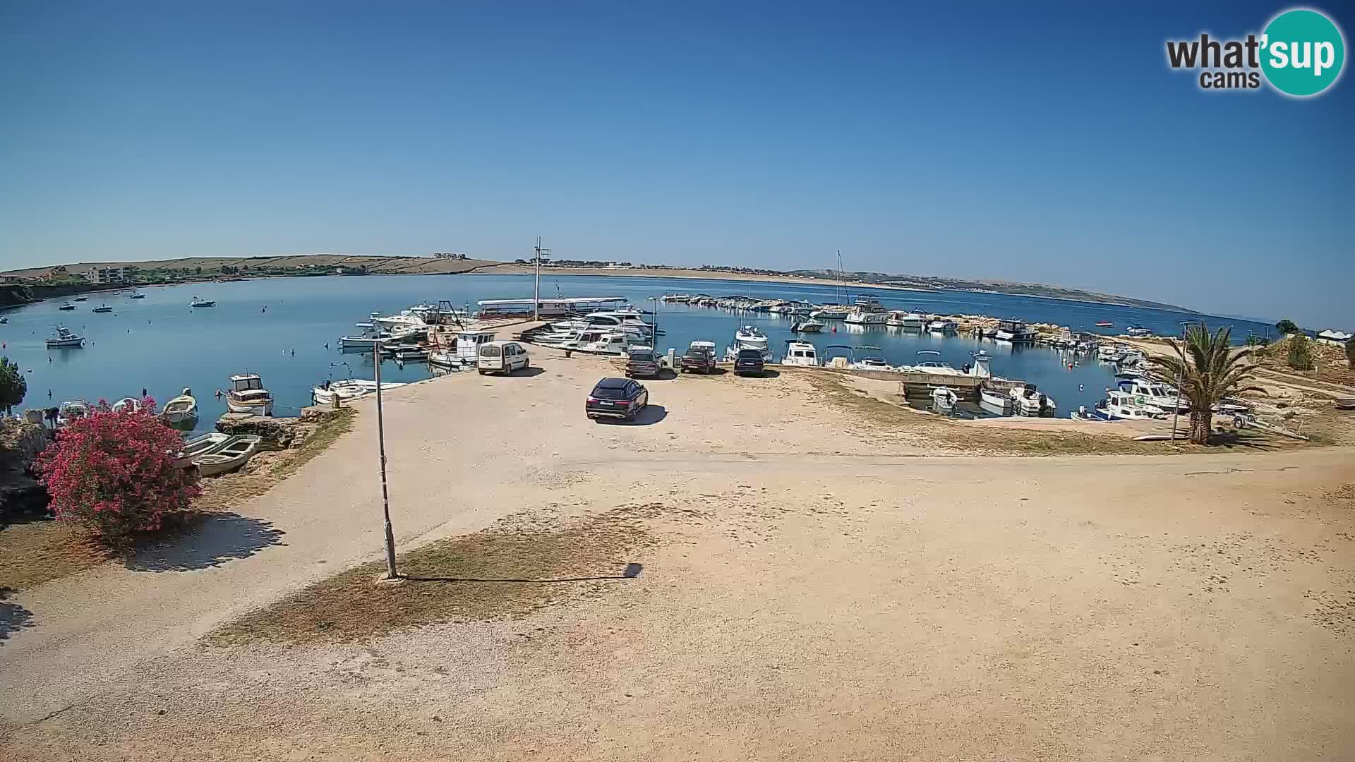 Camera en vivo Povljana – Pag isla