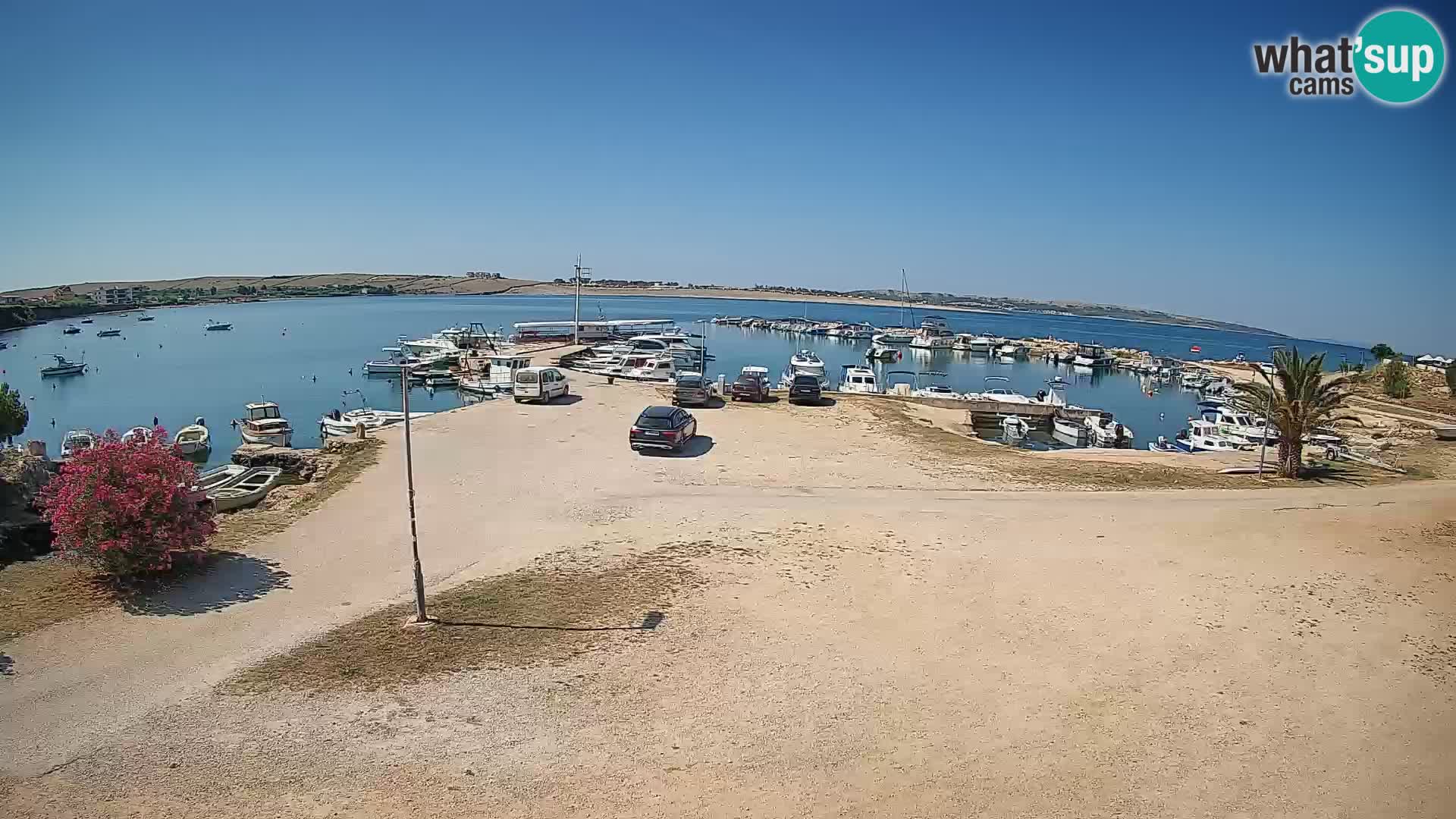 Livecam Pogliana – isola di Pago
