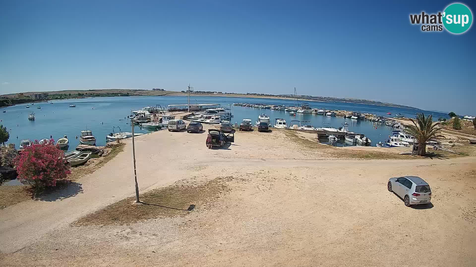 Camera en vivo Povljana – Pag isla