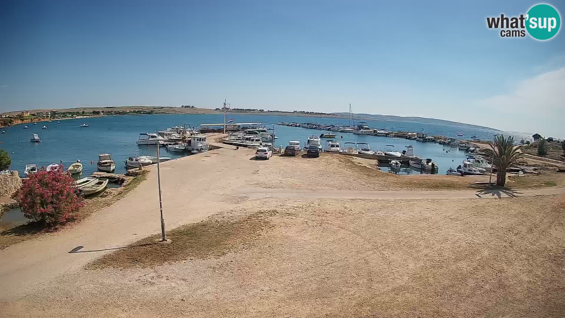 Webcam Povljana – Pag insel